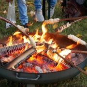 Kostenlose Ferienbetreuung in den Faschingsferien