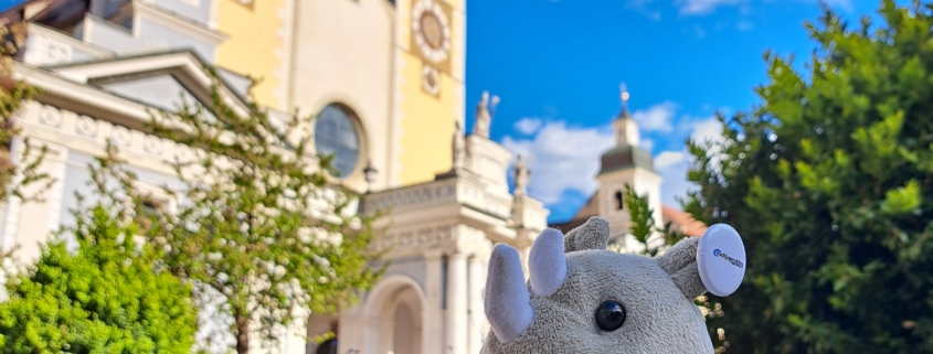 Ein Plüsch-Nashorn sitzt vor einem Blumenbeet, im Hintergrund ist der Dom von Brixen vor blauem Himmel zu sehen.